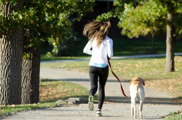 散歩をする犬と女性
